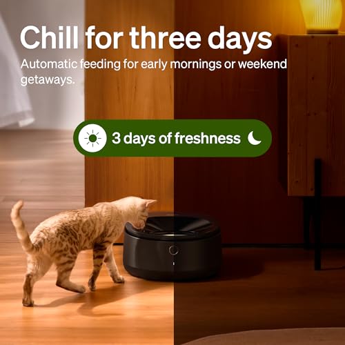 Automatic Wet Food Cat Feeder 2026 New Version with Semiconductor Cooling (Black / Feeder)