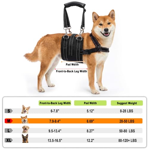 Adjustable Male Dog Lift Harness for Large Dogs (Dark Black (Male) / Medium)