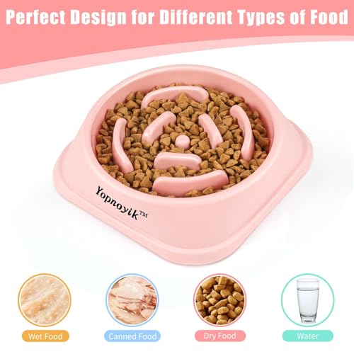Slow Feeder Dog Bowls for Medium Dogs & Cats (Medium / Pink)
