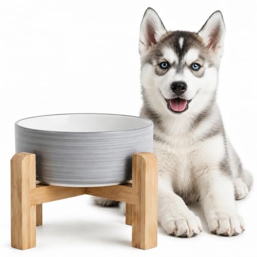 Elevated Ceramic Dog Bowl with Bamboo Stand (White Gray / 3.6Cup)