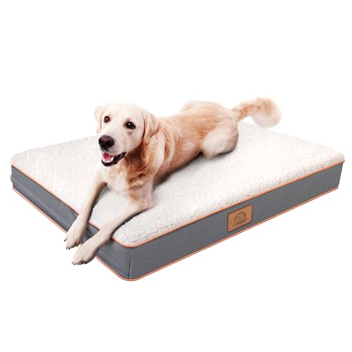 Washable Orthopedic Small Dog Bed (Light Grey / 24.0"L x 16.0"W x 3.0"Th)