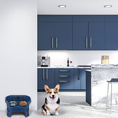 Neater Feeder Deluxe Mess (Medium + Standard Bowl / Dark Blue)