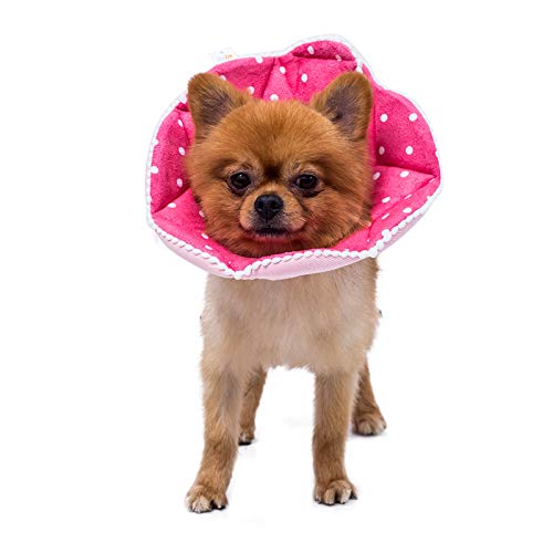 Adjustable Dog Cat Cone (Small / Pink)