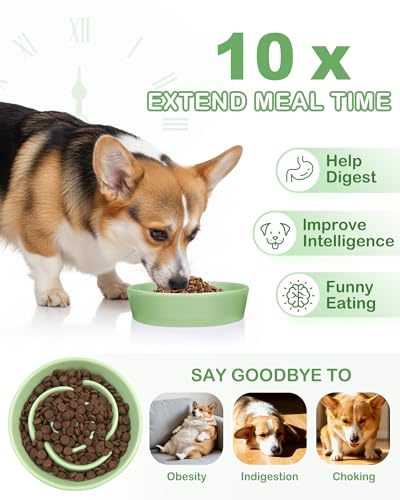 Ceramic Slow Feeder Dog Bowls (M-1.5 Cups / 04-Green)