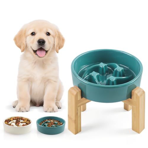 6.3” Elevated Slow Feeder Dog Bowls (Dark Green-M)