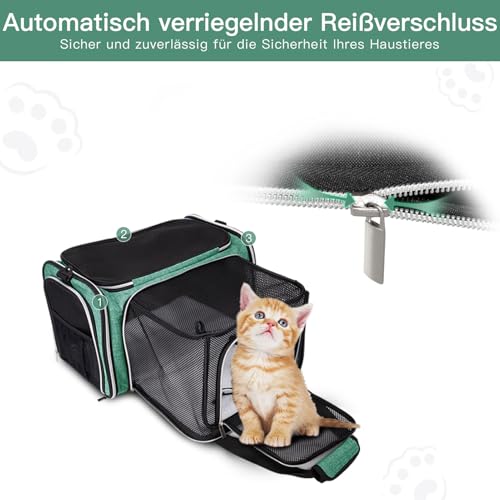 Expandable Cat Carrier with Travel Litter Box (Green / 12.6"L x 6.9"W x 16.5"H)