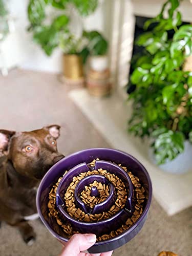 Dog Bowls Slow Feeder Ceramic (Maze Purple / M-1.5 Cups)