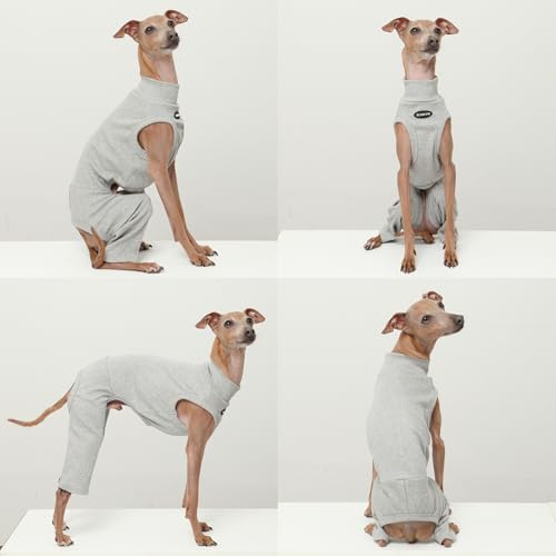 D Doggy Star Italian Greyhound Clothes High (XL / COORDI GREY)