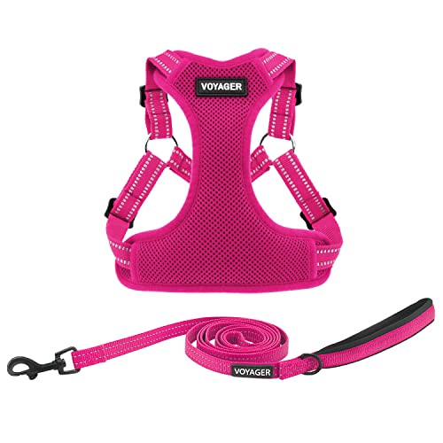 Voyager Adjustable Step (Harness Leash Set (Fuchsia) / XS)
