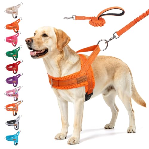 Dog Harness for Large Dogs (Orange / L: Chest 26"-32")
