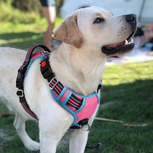 Dog Harness for Large (Pink & Blue / Large)