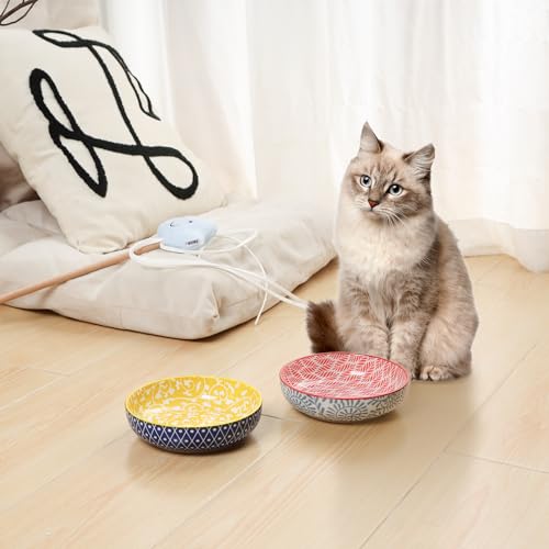 Ceramic Cat Food Bowl Set of 4 (5.6 Inch, Set of 4 / Assorted Colors)