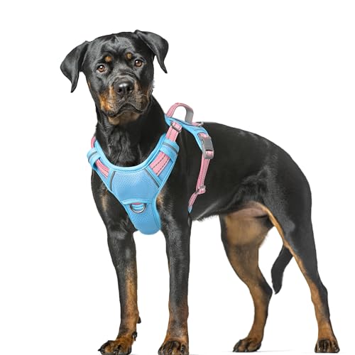 Dog Harness for Large Dogs No Pull Dog Vest ID Tag Pocket (Baby Blue & Baby Pink / X-Large)