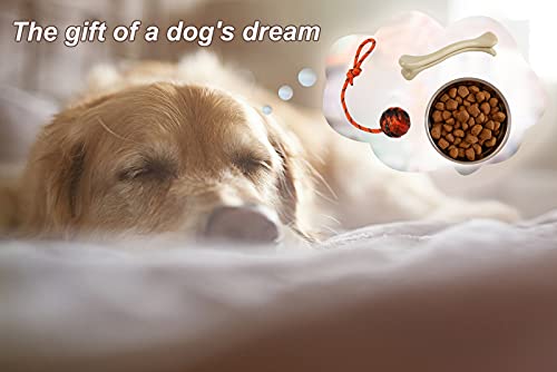 2Pcs Dog Training Ball on Rope (2pcs)