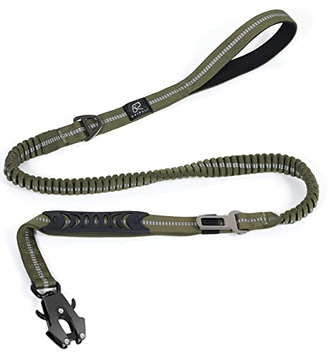Tactical Shock Absorbing Bungee Dog Leash Heavy Duty (Ranger Green / Aviation aluminum)