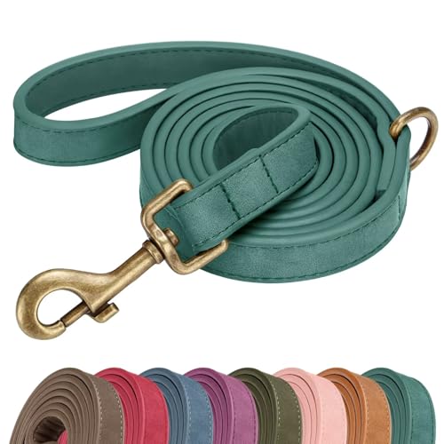 PU Leather Dog Leash for Medium Large Dogs (Green / 3/4''x 5FT)