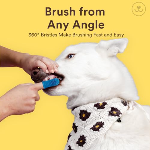 Large Dog Toothbrush (Large Navy Blue (2-pack))