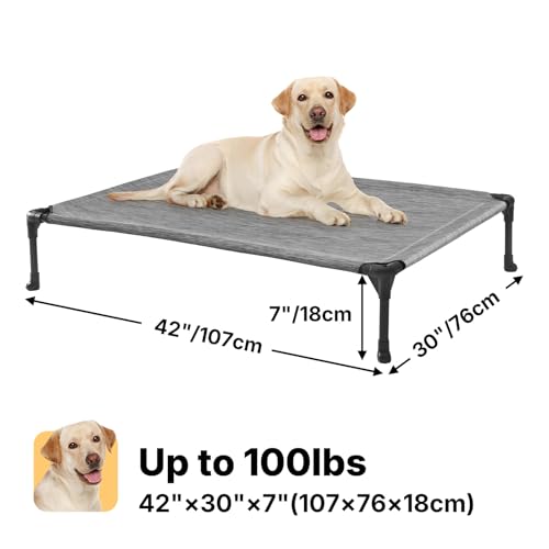 Outdoor Elevated Dog Bed Large Sized Dogs (42.0"L x 30.0"W x 7.0"Th / Black Silver)