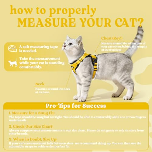 Cat Harness and Leash Set (Xxs / Yellow)