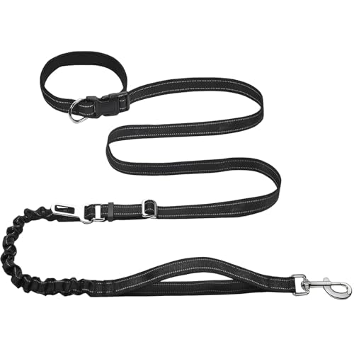 Bungee Dog Leash (Black / 4.6-7.3FT)