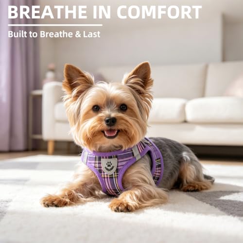 Dog Harness Collar and Leash Set No Pull for Small Medium Sized (Purple / XL (CHEST 20"-22"))