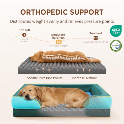 Orthopedic Dog Bed for Extra Large Dogs with Bolster (42.0"L x 30.0"W x 8.5"Th / Seattle)