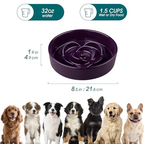 Slow Feeder Dog Bowl (M - 1.5 Cups / Dark Purple)
