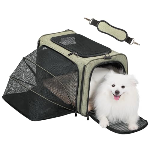 Large Expandable Cat Carrier for Travel (19"L x 12"W x 12"H / Green)