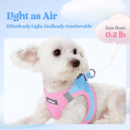 Dog Harness Small Sized and Leash Set (Blue & Light Pink / Xs (chest: 13.3 - 15.5"))
