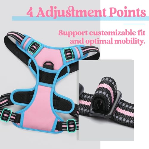 Dog Harness No Pull for Large Dogs with 2 Leash Clips (X-Large / Pink & Blue)