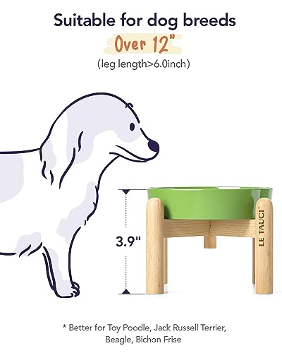 Ceramic Slow Feed Dog Bowls (Clover Green+Stand / S-0.6 Cups)