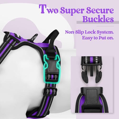 Dog Harness No Pull Medium Sized with 2 Leash Clips (Medium / Purple)