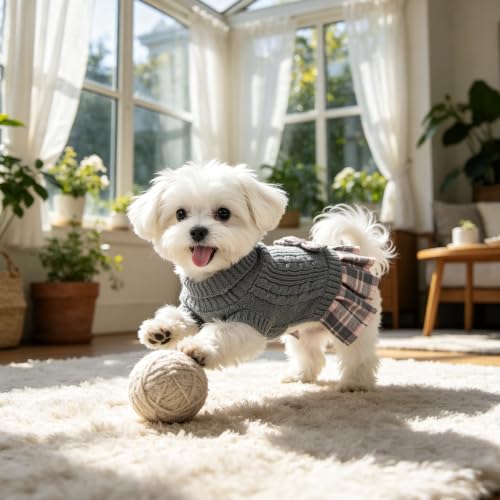 2 Pack Small Dog Sweater Dress with Bowtie Turtleneck (X-Large (21-28lbs) / Red+Grey)