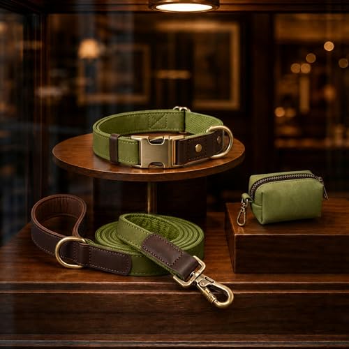 PU Leather Dog Leash for Large Dogs (Olive Green / 1"x 6FT)