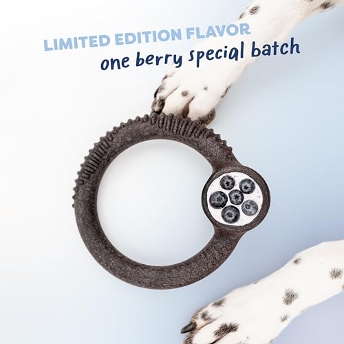 Blueberry Small 4 (Small / Limited Edition 4 Pack)