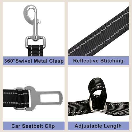 Bungee Dog Leash (Black / 4.6-7.3FT)