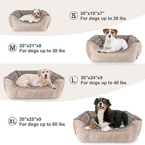 Rectangle Dog Bed for Large Medium Small Dogs Machine Washable Sleeping Dog Sofa Bed Non (Beige / M(25"x 21"x 8"))
