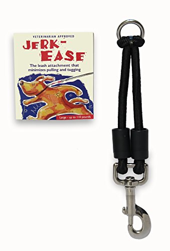 BUNGEE DOG LEASH EXTENSION (Large (up to 110 pounds) / Black)