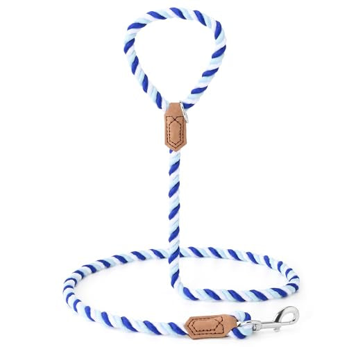 Rainbow Dog Leash Braided Cotton Rope w Leather (Blue Gradient / 72 Inch-1/2")
