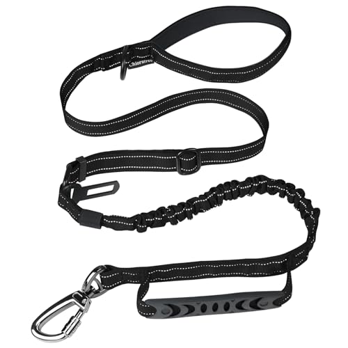 Heavy Duty Dog Leash for Medium Large Dogs (Black)