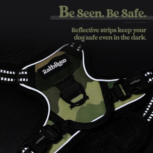 Dog Harness No Pull for Small Dogs with 2 Leash Clips (X-Small / Green Mountain)