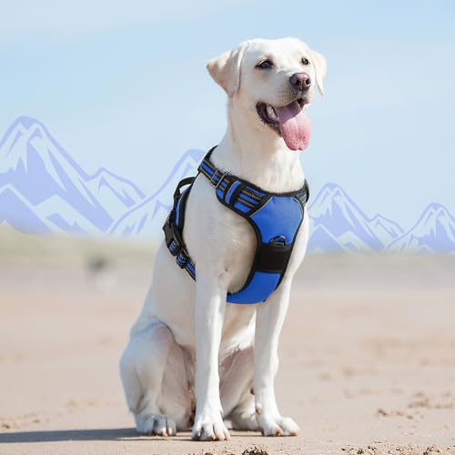 Dog Harness for Large Dogs (Large / Blue)
