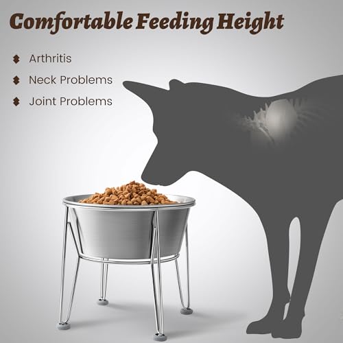 Elevated Dog Bowls for Large & Medium Dogs (8 Cups / Raised Bowl)