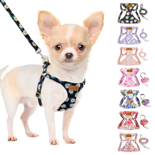 No Pull Dog Harness with Leash for Small Medium Dogs (X-Small(6-11lb) / Black Daisy)