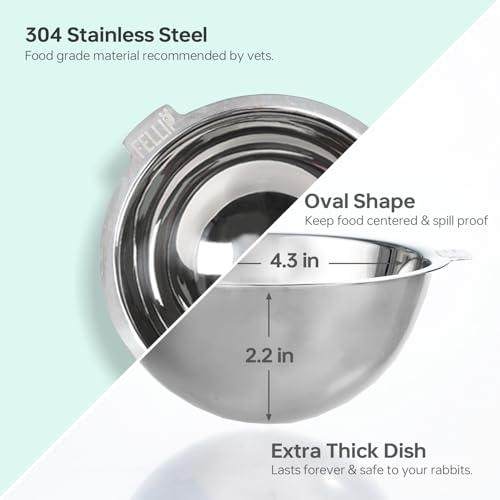 Oblik 15° Tilted Small Animal Bowls for Pet Food & Water 6 oz Stainless Steel Dish Removable (Classic / Mini Pet)