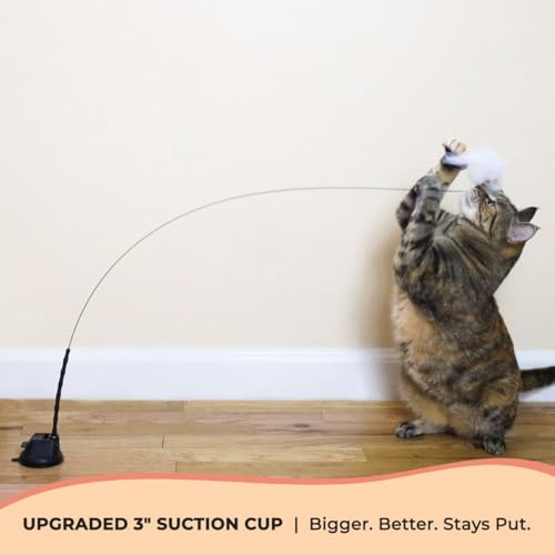 Interactive Bird Simulation Cat Toy Set (Standard Hybrid Bundle)