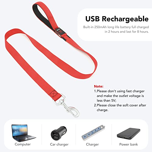 LED Light Up Dog Leash (Red / 4FT)