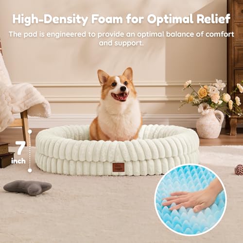 Orthopedic Dog Bed (Cream / L(35*28*7))