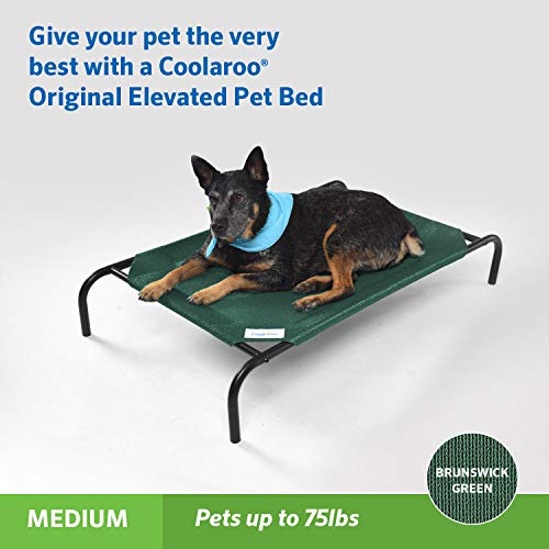 The Original Cooling Elevated Pet Bed (Medium Dog Bed / Brunswick Green)