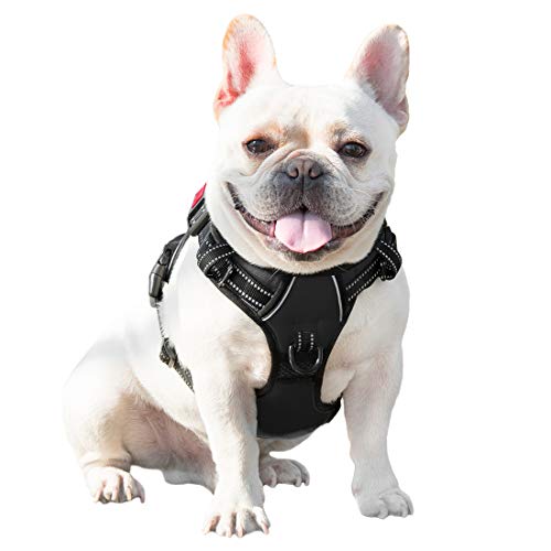 No Pull Dog Harnesses for Small Dogs Reflective Adjustable (Extra Small / Black)